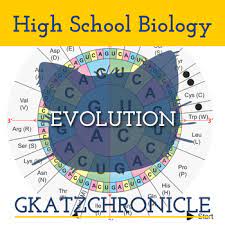 Analyzing Amino Acid Sequences To Determine Evolutionary Relationships