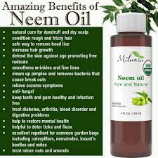 Neem oil has countless benefits for the hair and scalp, including relief from a dry, itchy scalp and dandruff, as well as giving you silky, shiny, strong hair. Amazon Com Premium Organic Neem Oil Virgin Cold Pressed Unrefined 100 Pure Natural Grade A Excellent Quality Same Day Shipping 4 Fl Oz Beauty