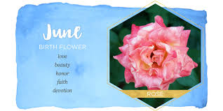 Every flower category has its own speciality and meaning. What Is The June Birth Flower