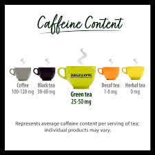 Green Tea Organic 40 Count - Case Of 6 Boxes- Total Of 240 Teabags – Bigelow  Tea