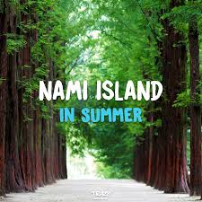However, with the stunning mother nature all around you. Summer In Nami Island Nami Trazy Travel Crazy Korea Facebook