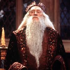 It does not do to dwell on dreams and forget to live. By The End Of The Harry Potter Series What Was Your Opinion On Dumbledore Quora