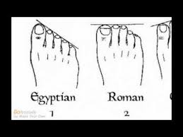 ancestry genealogy and shape of your toes based on this