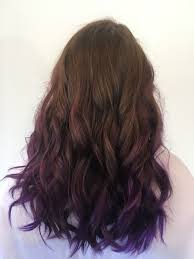 Brown Hair With Purple Ombre Tips Brown Hair Dye Hair Dye Tips Purple Brown Hair