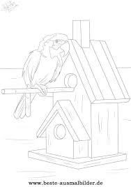 Beste Ausmalbilder Ausmalen Ausmalbilder Papagei Ausmalbilder