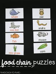 Animal Activities For Kids Playdough To Plato Animal Activities For Kids Animal Activities Camouflage Activities