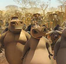 The penguins of madagascar film is almost entirely based on the team's ability to deal with sudden interspecies romance: Madagascar 2 Bilder Fotos Welt