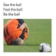 I Am The Ball Funny Sports Pictures Some Jokes Really Funny