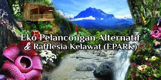 Comment must not exceed 1000 characters. Eko Pelancongan Alternatif Rafflesia Kelawat Epark Home Facebook