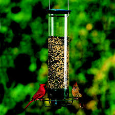 If you don't want to waste anymore time you have come to the right place. Droll Yankees Yankee Flipper Bird Feeder Dyyf Squirrel Proof Droll Yankees Bird Feeders Yankee Flipper Buy Bird Feeders