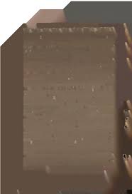 Image result for Aneilema dispermum