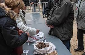 Kara elmas da denen trüf mantarı için. Truf Mantari Nedir Nerede Bulunur Ve Neden Pahali