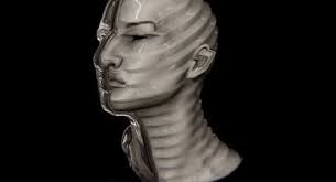 Profil von Bomps'Agden