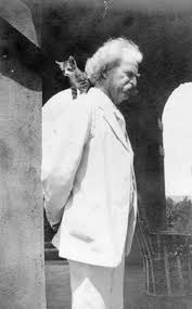 نتیجه جستجوی لغت [twain] در گوگل