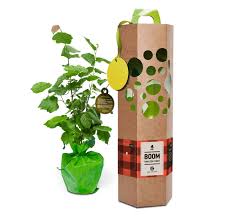 Is jouw vader een echte snoepkont? Origineel Vaderdag Cadeau