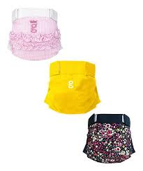 Gdiapers Princess Gertie Morning Gpants Set Of Three