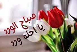 3 مسجات حب وغرام قصيرة ØµÙˆØ± ØµØ¨Ø§Ø­ Ø§Ù„ÙˆØ±Ø¯ Ø§Ø¬Ù…Ù„ Ø±Ù…Ø²ÙŠØ§Øª ØµØ¨Ø§Ø­ Ø§Ù„ÙˆØ±Ø¯ ÙˆØ§Ù„ÙŠØ§Ø³Ù…ÙŠÙ† ÙˆÙˆØ±Ø¯Ø²