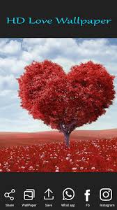 Love wallpaper instagram author of the post : Love Joke Sms Wallpaper Status Gif Image App 2018 For Android Apk Download