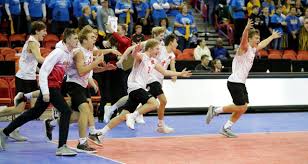 2025 High Risers List | AVCA Awards