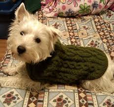Our directory links to free knitting patterns only. 102 43 The Lookout Dog Sweater Pattern Dog Sweaters Knitting Patterns For Dogs