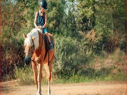 تبدأ من 80 جنبها أسعار 5 أماكن لممارسة ركوب الخيل مصراوى