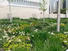 He's a mastermind, as far as i'm concerned the book is filled with grid plans and plants that roy diblik has worked with before. Roy Diblik Blog Posts Annotations Plants Ideas Knowledge