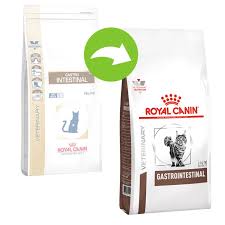 Chronic diarrhea, however, may be a symptom of inflammation or intolerances, indicating that a dietary overhaul may be in order. Royal Canin Veterinary Diet Buy Now For Less At Zooplus