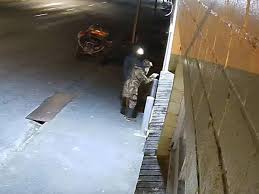 NZ Dad on the Run? New CCTV Footage Sparks Wilderness Manhunt!