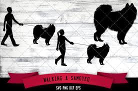 Download Walking A Samoyed Dog Silhouette Vector Graphic By Thesilhouettequeenshop Creative Fabrica SVG Cut Files
