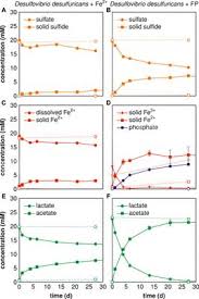 Check spelling or type a new query. Frontiers Mechanisms Of Pyrite Formation Promoted By Sulfate Reducing Bacteria In Pure Culture Earth Science