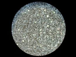 Leptospirosis Wikipedia Https En M Wikipedia Org Wiki Leptospirosis Pest Control Pest Control Services Mice Infestation