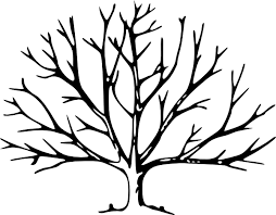 Tree Template No Leaves Tree With No Leaves Clip Art Vector Clip Art Online Royalty Free Tree Outline Tree Painting Tree Coloring Page