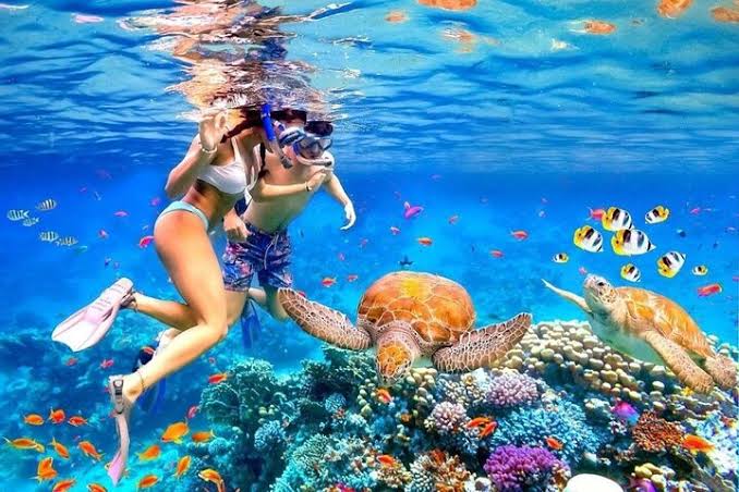Snorkeling in Sharm El Sheikh Red Sea