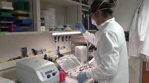 Biochemist Average Salary In Canada 2024 - The Complete Guide