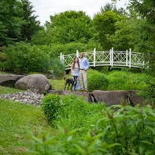 Gianna Barritta and Stanley Ramnaidu's Wedding Website