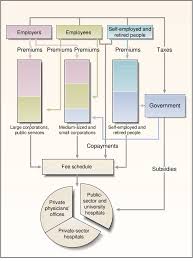 If you feel like you are unable to care for your elderly loved ones on your own or want to enable them to stay at home as long as possible, you should explore home health care. Flow Of Money In The Japanese Health Care System Download Scientific Diagram