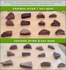 Twelve Methods Of Removing Gamy Flavor Put To The Test Venison Thursday