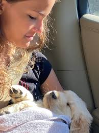 Griffin, Golden Retriever (6 y/o), Forsyth Park, Savannah, GA • “He thinks  he's the king of Savannah. It takes us about an hour to go a block, because  everyone's so friendly with