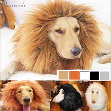 We did not find results for: Dog Lion Costume Pet Accessory Life Changing Products
