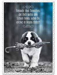 Home » sprüche hund mensch beziehung lustig » hund mensch sprüche. Freunde Sind Menschen Die Dich Unter Den Schirm Holen Wenn Du Alleine Im Regen Stehst Freunschaft Spruche Lebensweisheiten Spruche Weisheiten Spruche