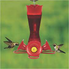 Maybe you would like to learn more about one of these? Perky Pet Red Pinch Waist Plastic Hummingbird Feeder