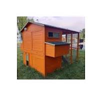 Grand poulailler bois XXL 12/15 poules, pratique, solide