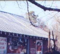 THE STORY OF THE FAMILIES