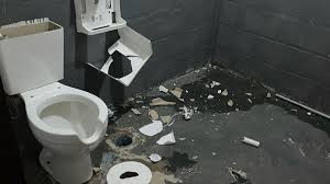 destrozos que hizo cerro en el campeon del siglo