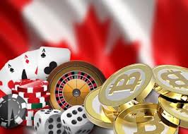 Red dog casino is the best bitcoin casino for high rtp slot games and fair play. Bitcoin Casinos Best Btc Online Gambling Sites For Canada