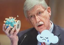 Great news that Amylyx is submitting an NDA to the FDA based