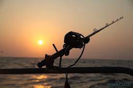 Deep sea fishing charter trips offered for up to 18 people. Deep Sea Fishing Fishing Tackle Techniques Destinations And Fishing Charters Tom S Catch