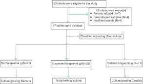 Catalase Assay Flow Chart Template Nationalphlebotomycollege