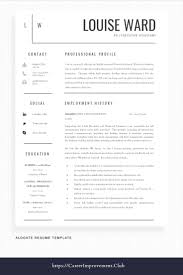 Professional Resume Template Business