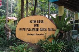 Banyak tempat menarik di selangor yang boleh dikunjungi. Sungai Tekala Recreational Forest